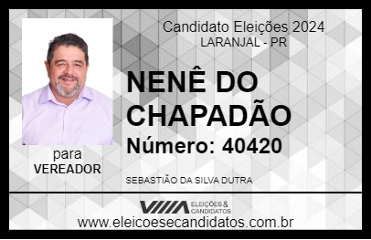 Candidato NENÊ DO CHAPADÃO 2024 - LARANJAL - Eleições