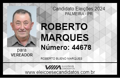 Candidato ROBERTO MARQUES 2024 - PALMEIRA - Eleições