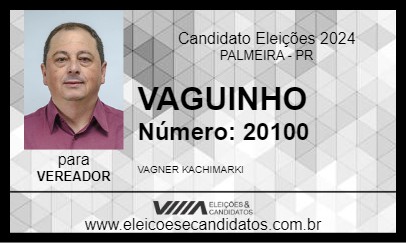 Candidato VAGUINHO 2024 - PALMEIRA - Eleições