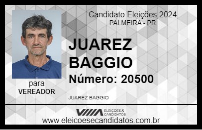 Candidato JUAREZ BAGGIO 2024 - PALMEIRA - Eleições