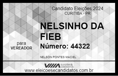 Candidato NELSINHO DA FIEB 2024 - CURITIBA - Eleições