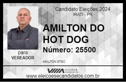 Candidato AMILTON DO HOT DOG 2024 - IRATI - Eleições