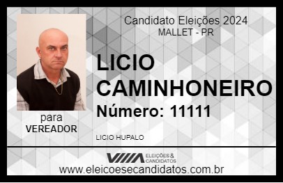 Candidato LICIO CAMINHONEIRO 2024 - MALLET - Eleições