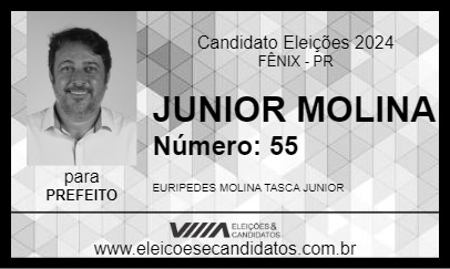 Candidato JUNIOR MOLINA 2024 - FÊNIX - Eleições