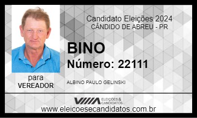 Candidato BINO 2024 - CÂNDIDO DE ABREU - Eleições