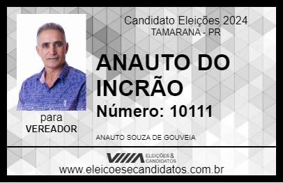 Candidato ANAUTO DO INCRÃO 2024 - TAMARANA - Eleições