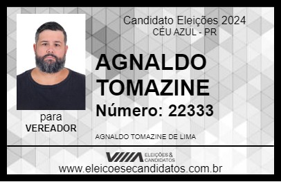 Candidato AGNALDO TOMAZINE 2024 - CÉU AZUL - Eleições