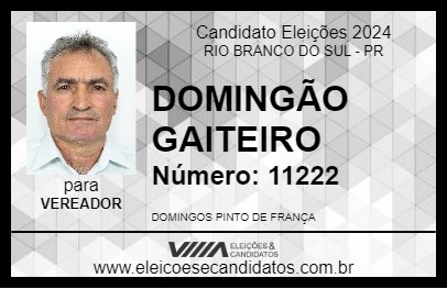 Candidato DOMINGÃO GAITEIRO 2024 - RIO BRANCO DO SUL - Eleições