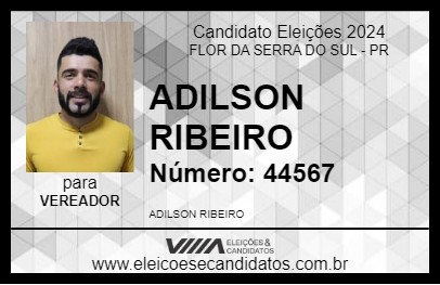 Candidato ADILSON RIBEIRO 2024 - FLOR DA SERRA DO SUL - Eleições