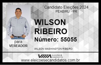 Candidato WILSON RIBEIRO 2024 - PEABIRU - Eleições