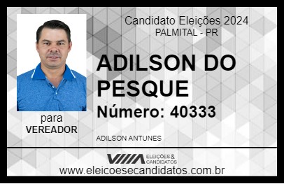 Candidato ADILSON DO PESQUE  2024 - PALMITAL - Eleições