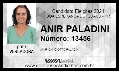 Candidato ANIR PALADINI 2024 - BOA ESPERANÇA DO IGUAÇU - Eleições