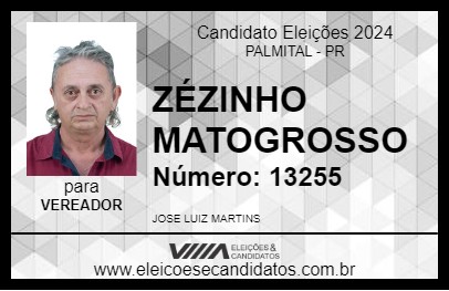 Candidato ZÉZINHO MATOGROSSO 2024 - PALMITAL - Eleições