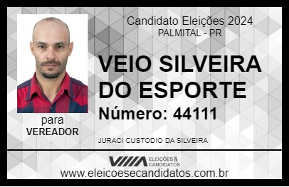 Candidato VEIO SILVEIRA DO ESPORTE 2024 - PALMITAL - Eleições