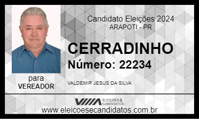 Candidato CERRADINHO 2024 - ARAPOTI - Eleições