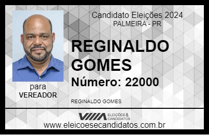 Candidato REGINALDO GOMES 2024 - PALMEIRA - Eleições