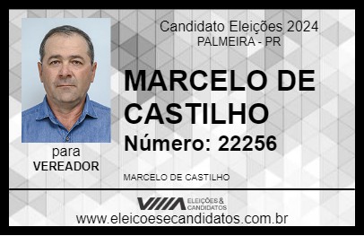 Candidato MARCELO DE CASTILHO 2024 - PALMEIRA - Eleições