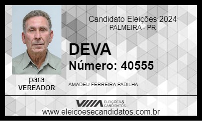 Candidato DEVA 2024 - PALMEIRA - Eleições