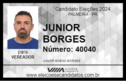 Candidato JUNIOR BORGES 2024 - PALMEIRA - Eleições