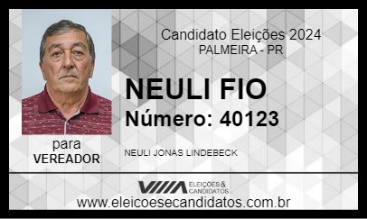 Candidato NEULI FIO 2024 - PALMEIRA - Eleições