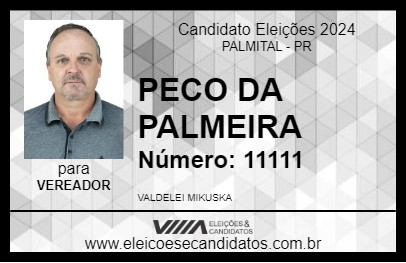 Candidato PECO DA PALMEIRA 2024 - PALMITAL - Eleições