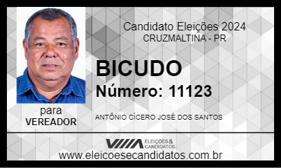 Candidato BICUDO 2024 - CRUZMALTINA - Eleições