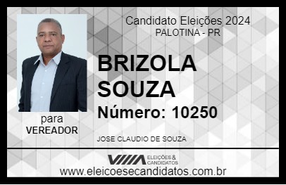 Candidato BRIZOLA SOUZA 2024 - PALOTINA - Eleições