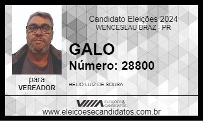 Candidato GALO 2024 - WENCESLAU BRAZ - Eleições