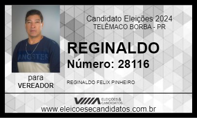 Candidato REGINALDO 2024 - TELÊMACO BORBA - Eleições