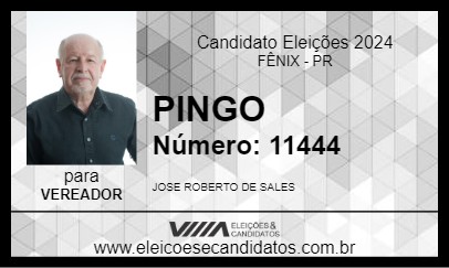 Candidato PINGO 2024 - FÊNIX - Eleições