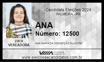 Candidato ANA 2024 - PALMEIRA - Eleições