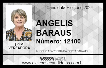 Candidato ANGELIS BARAUS 2024 - PALMEIRA - Eleições