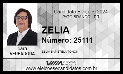 Candidato ZELIA 2024 - PATO BRANCO - Eleições