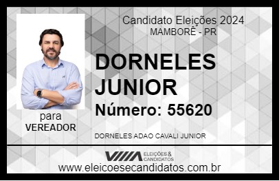 Candidato DORNELES JUNIOR 2024 - MAMBORÊ - Eleições