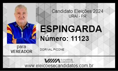 Candidato ESPINGARDA 2024 - URAÍ - Eleições