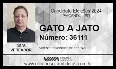 Candidato GATO A JATO 2024 - PAIÇANDU - Eleições