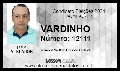 Candidato VARDINHO 2024 - PALMITAL - Eleições