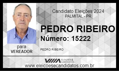 Candidato PEDRO RIBEIRO 2024 - PALMITAL - Eleições