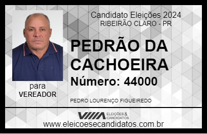 Candidato PEDRÃO DA CACHOEIRA 2024 - RIBEIRÃO CLARO - Eleições