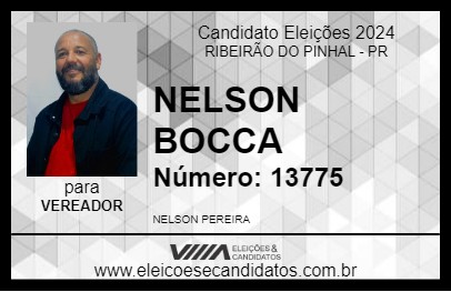 Candidato NELSON BOCCA 2024 - RIBEIRÃO DO PINHAL - Eleições