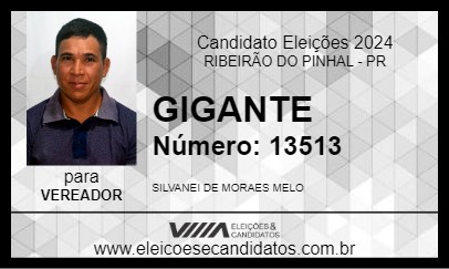 Candidato GIGANTE 2024 - RIBEIRÃO DO PINHAL - Eleições