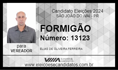 Candidato FORMIGÃO 2024 - SÃO JOÃO DO IVAÍ - Eleições