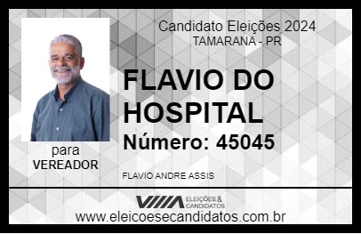 Candidato FLAVIO 2024 - TAMARANA - Eleições