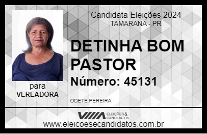 Candidato DETINHA BOM PASTOR 2024 - TAMARANA - Eleições