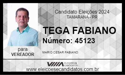 Candidato TEGA FABIANO  2024 - TAMARANA - Eleições