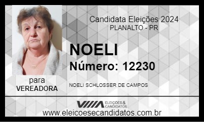 Candidato NOELI 2024 - PLANALTO - Eleições