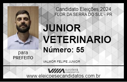 Candidato JUNIOR VETERINARIO 2024 - FLOR DA SERRA DO SUL - Eleições