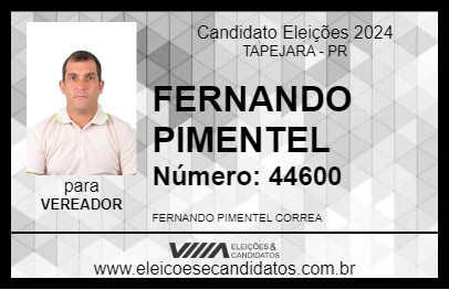 Candidato FERNANDO PIMENTEL 2024 - TAPEJARA - Eleições