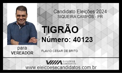 Candidato TIGRÃO 2024 - SIQUEIRA CAMPOS - Eleições