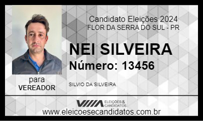 Candidato NEI SILVEIRA 2024 - FLOR DA SERRA DO SUL - Eleições